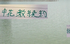 京滬戰前夕，申花教練續約，賽蒂恩佳績，兩隊教練喜訊連連。