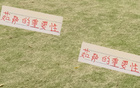 海港爭冠必修課，穆帥需知薩之重要！