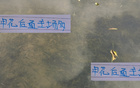 申花主場七戰，五勝奪冠穩乎？