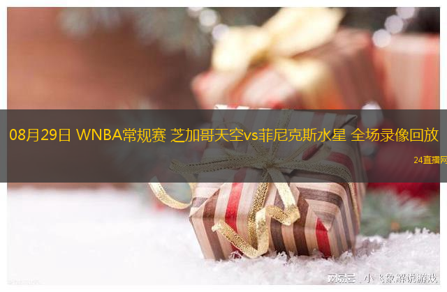 08月29日 WNBA常規賽 芝加哥天空vs菲尼克斯水星 全場錄像回放