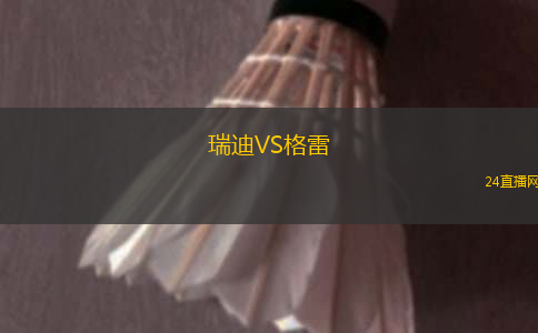 瑞迪VS格雷