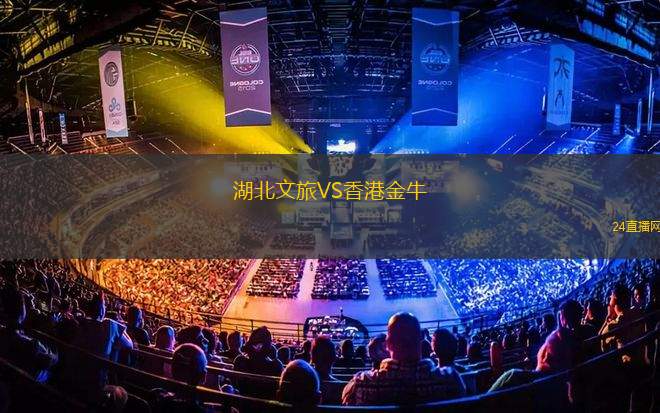 湖北文旅VS香港金牛