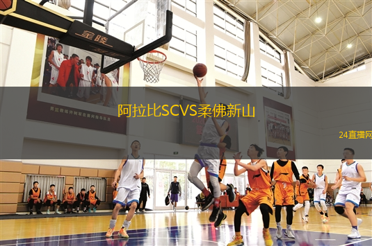 阿拉比SCVS柔佛新山