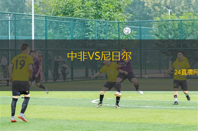 中非VS尼日爾
