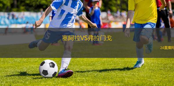 塞阿拉VS弗拉門戈