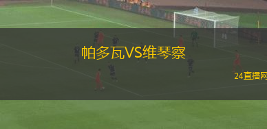 帕多瓦VS維琴察