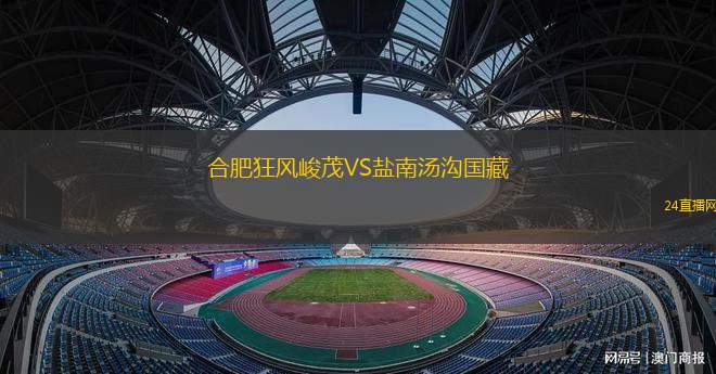 合肥狂風峻茂VS鹽南湯溝國藏