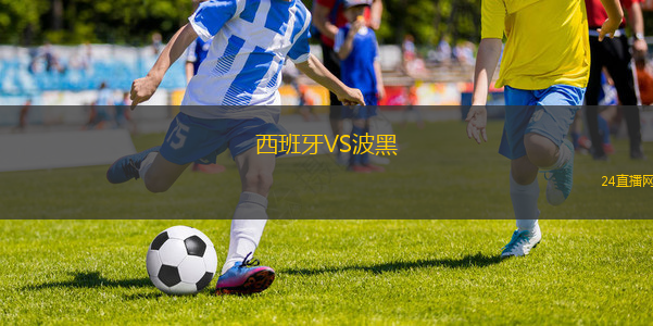 西班牙VS波黑