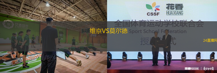 維京VS莫爾德