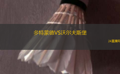 多特蒙德VS沃爾夫斯堡
