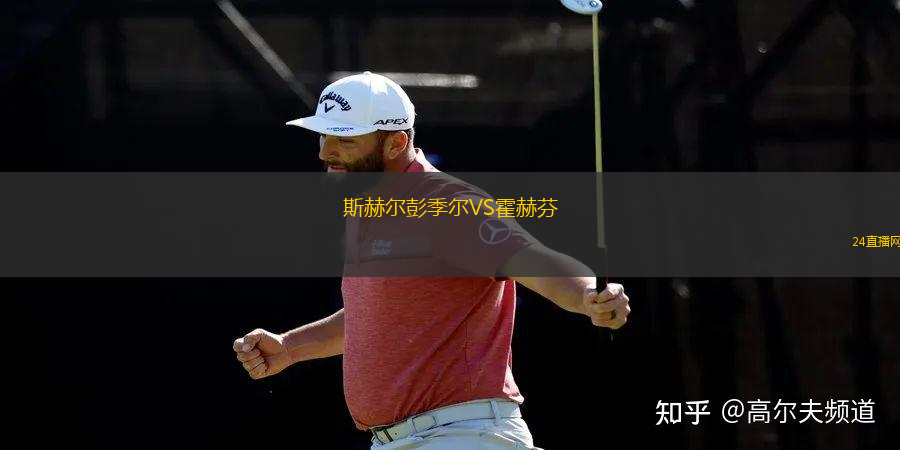 斯赫爾彭季爾VS霍赫芬